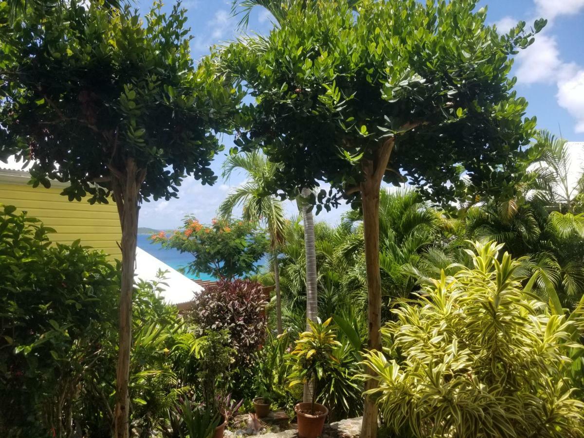 Estate Lindholm Hotel Cruz Bay Exterior photo